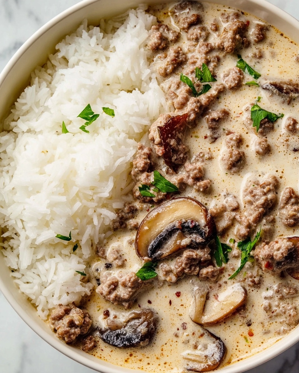 Ground Beef Stroganoff and Rice Recipe - Recipe Image