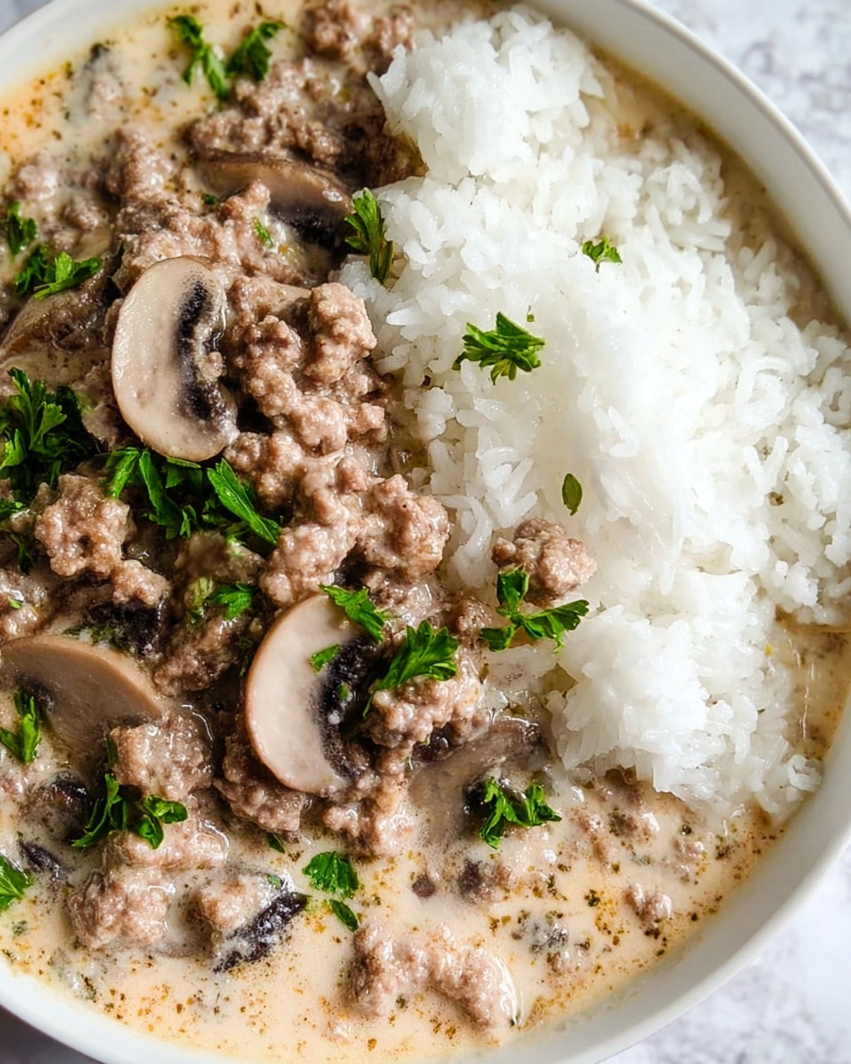 Ground Beef Stroganoff and Rice Recipe - Recipe Image