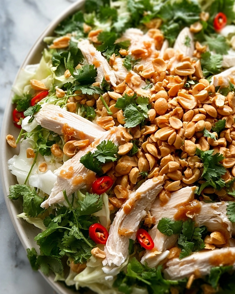 Goi Ga - Vietnamese Chicken Salad Recipe - Recipe Image
