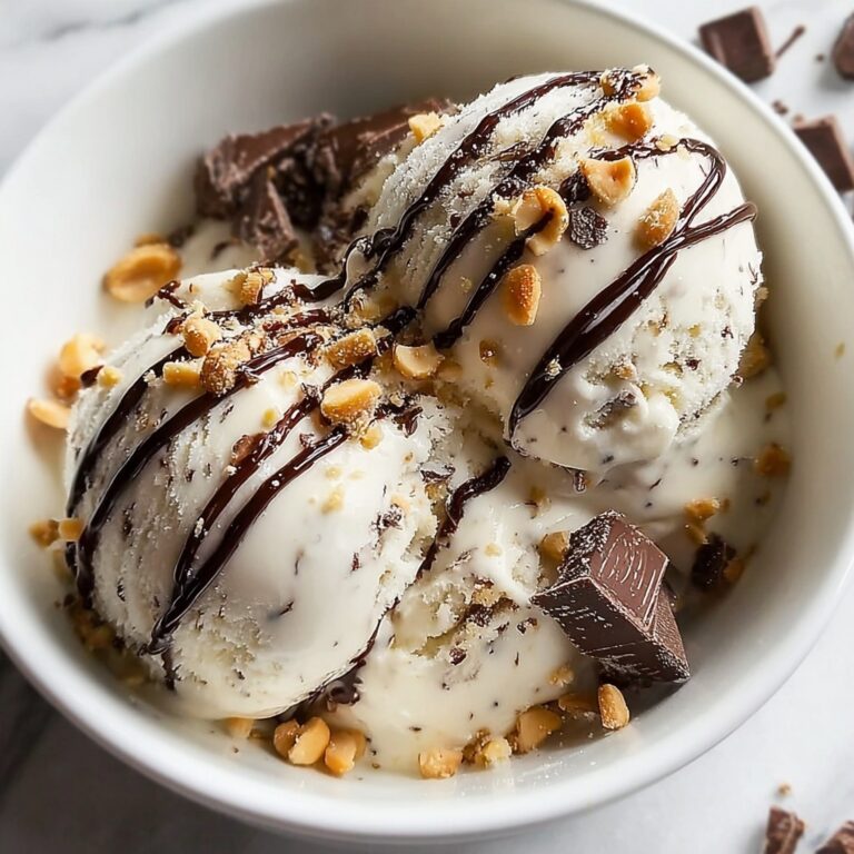 Moose Tracks Protein Ice Cream Recipe