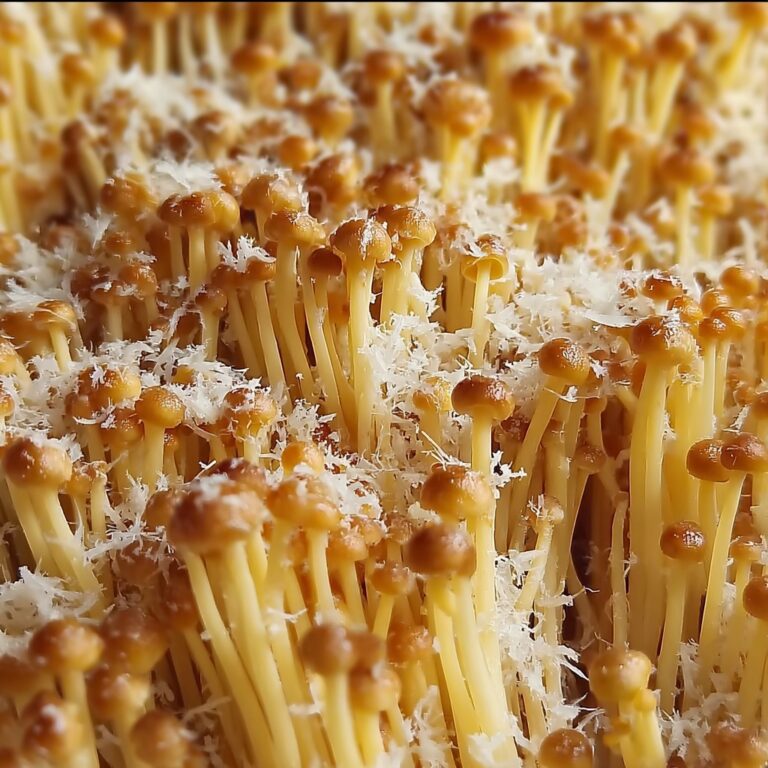 The Best Spaghetti Recipe